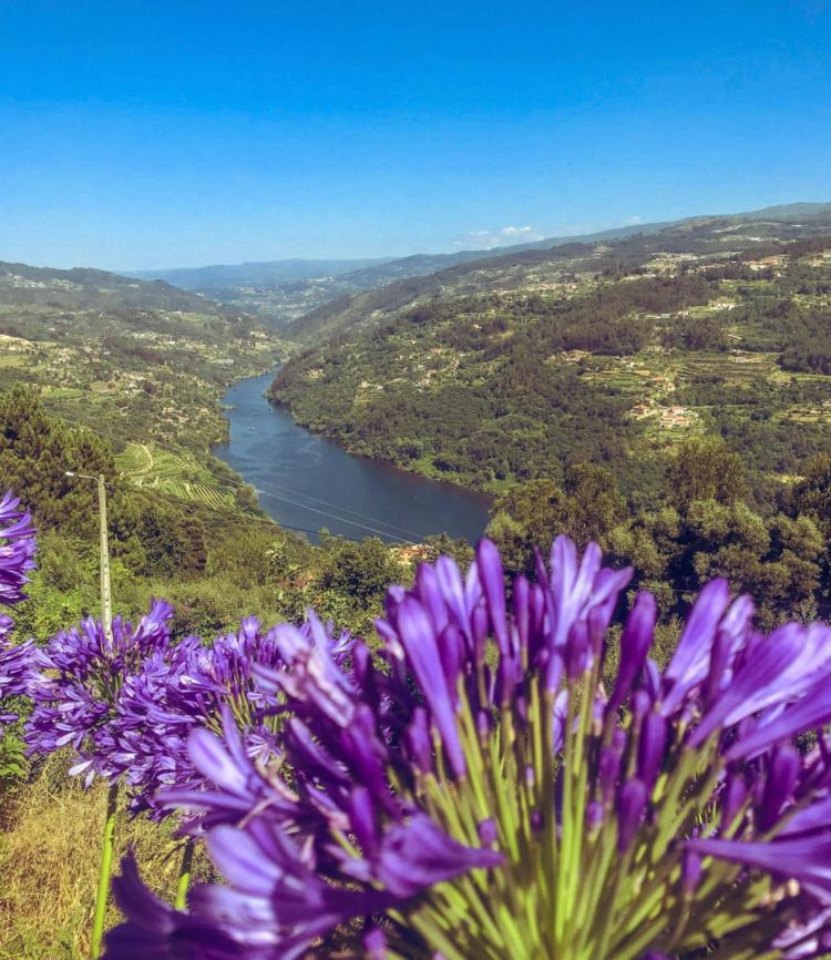 Mira Douro Valley Home Marco de Canavezes エクステリア 写真