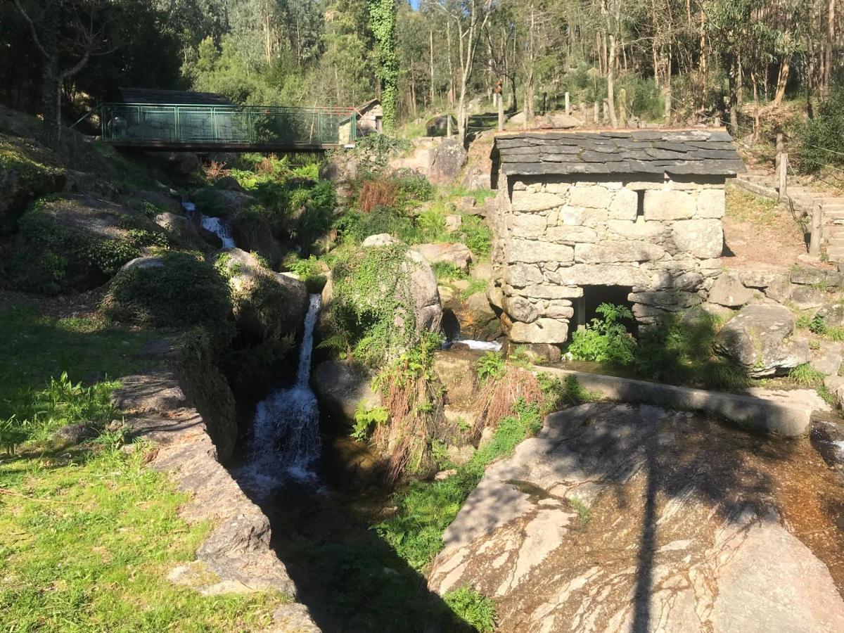 Mira Douro Valley Home Marco de Canavezes エクステリア 写真