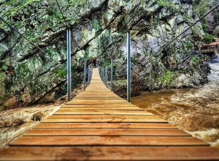 Mira Douro Valley Home Marco de Canavezes エクステリア 写真