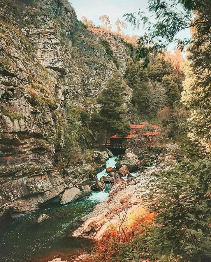 Mira Douro Valley Home Marco de Canavezes エクステリア 写真
